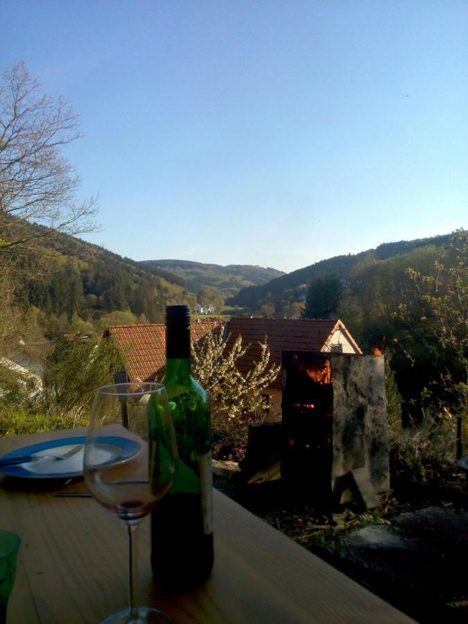 Fewo Pacohaus Naehe Willingen Diemelsee Brilon Kültér fotó