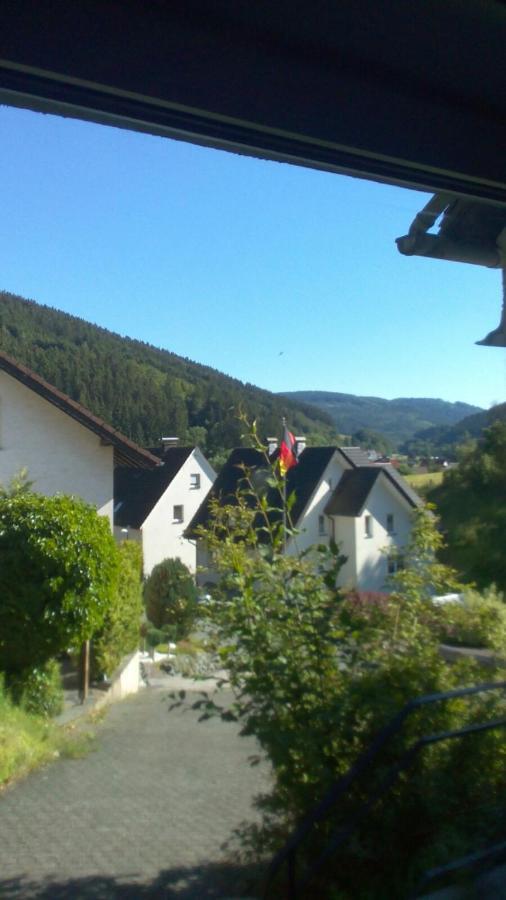 Fewo Pacohaus Naehe Willingen Diemelsee Brilon Kültér fotó