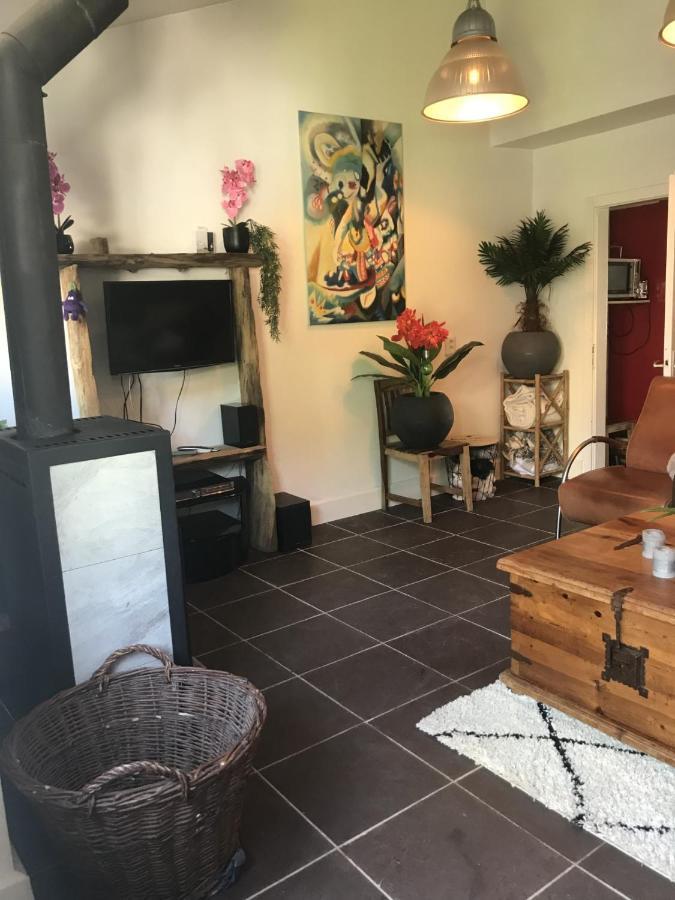 Fewo Pacohaus Naehe Willingen Diemelsee Brilon Kültér fotó