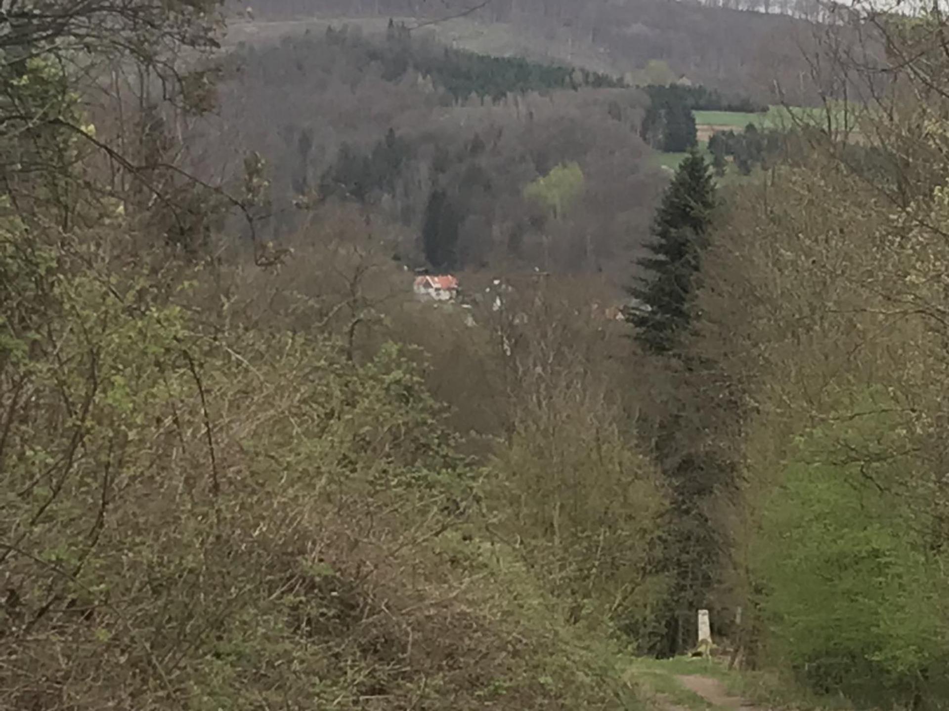 Fewo Pacohaus Naehe Willingen Diemelsee Brilon Kültér fotó