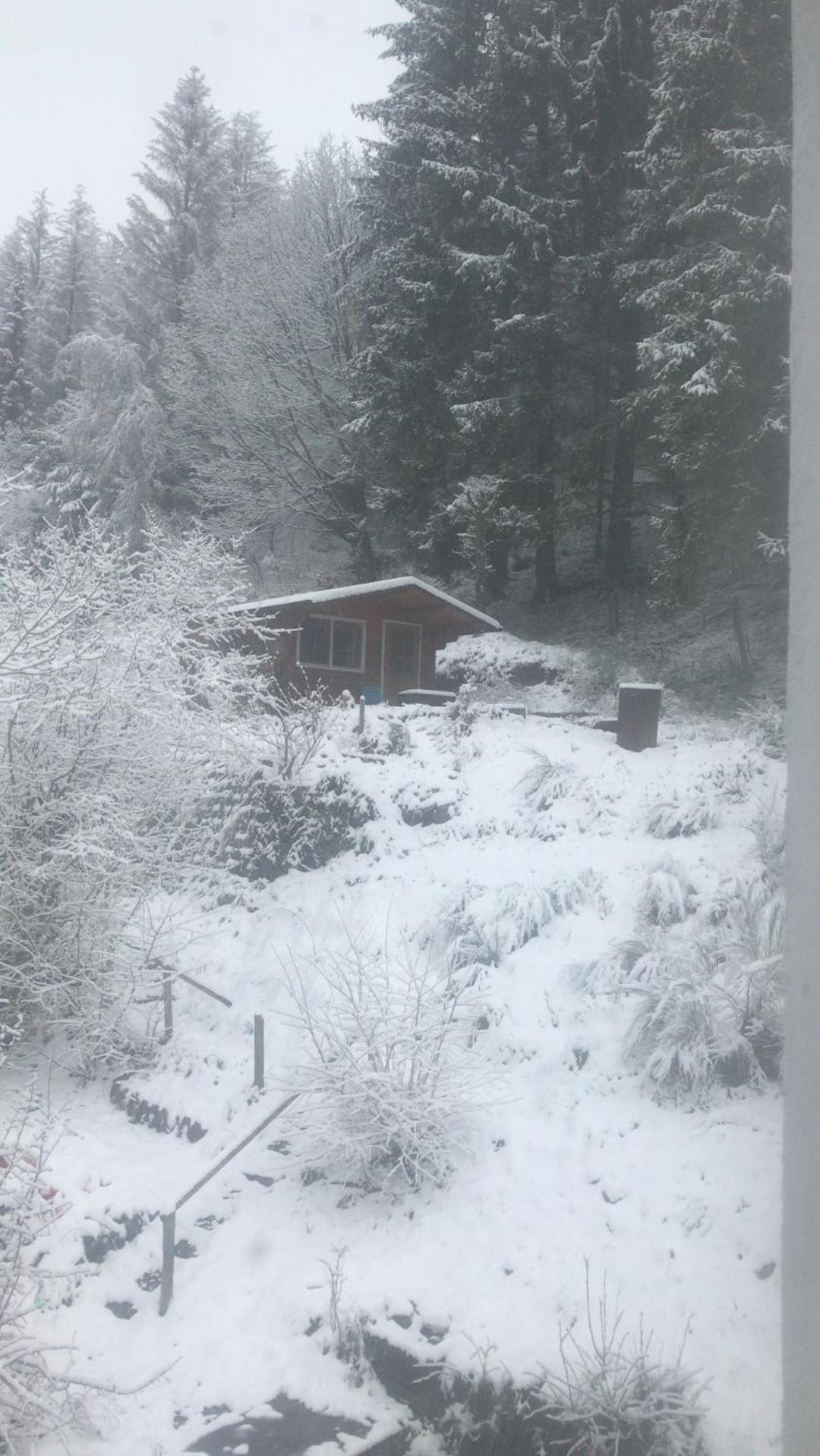 Fewo Pacohaus Naehe Willingen Diemelsee Brilon Kültér fotó
