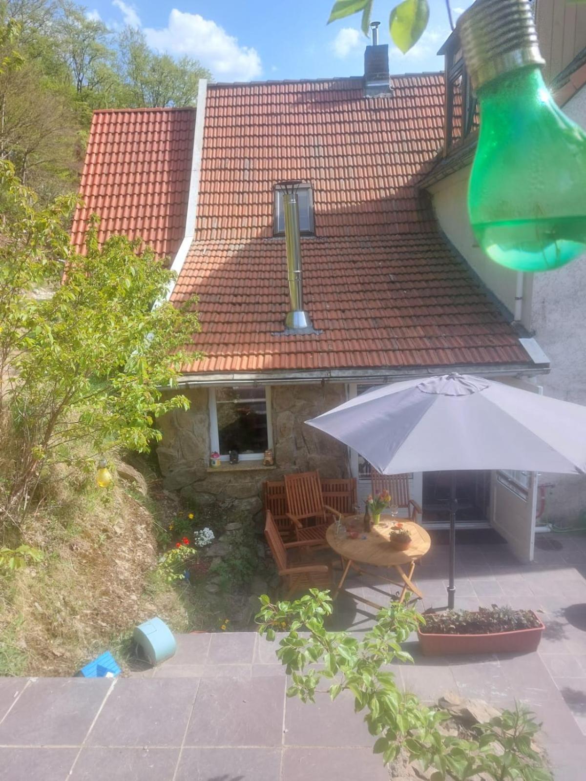 Fewo Pacohaus Naehe Willingen Diemelsee Brilon Kültér fotó