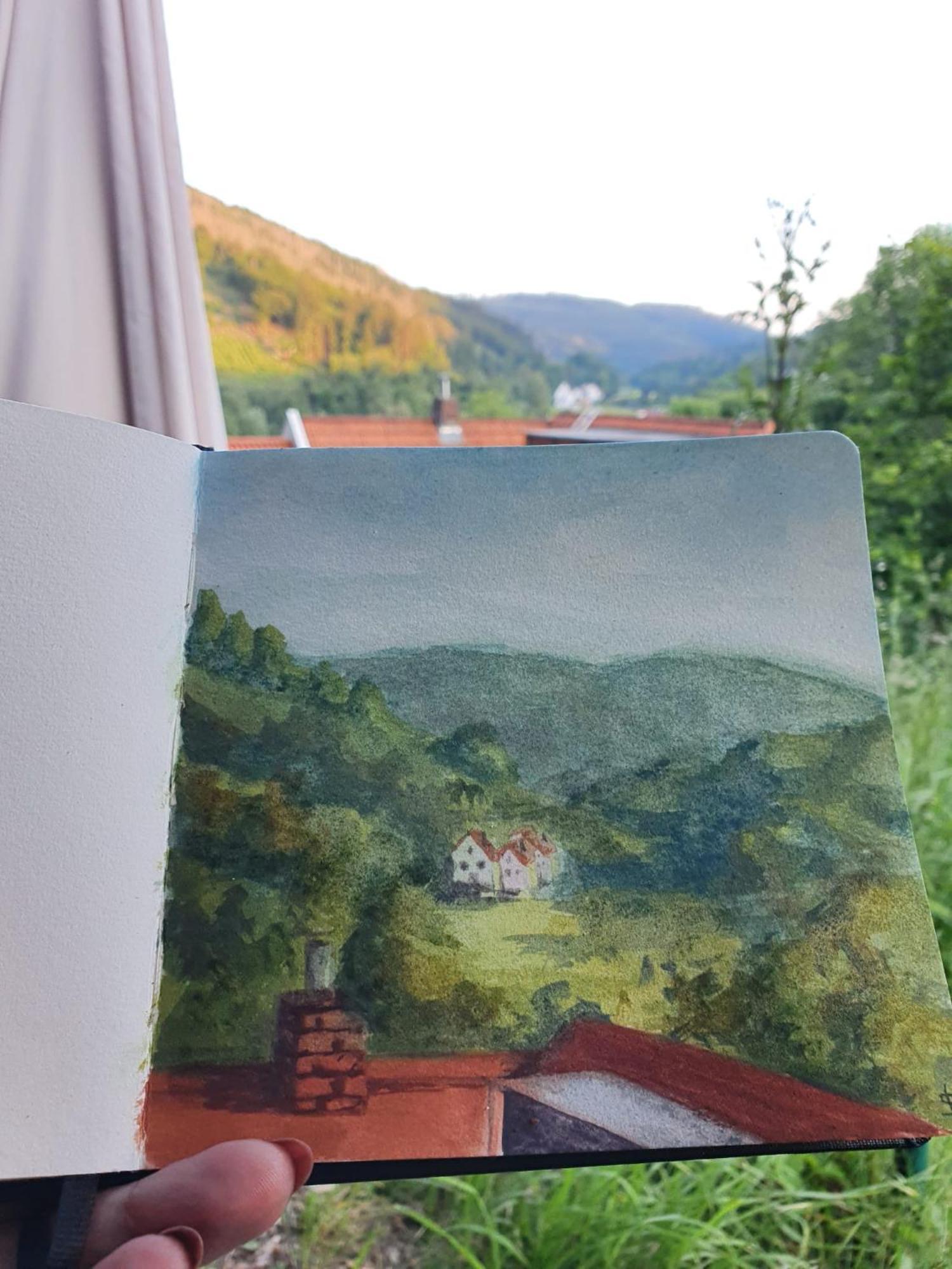 Fewo Pacohaus Naehe Willingen Diemelsee Brilon Kültér fotó